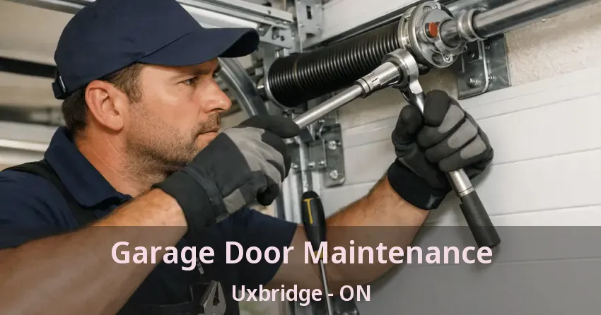 Garage Door Maintenance Uxbridge - ON